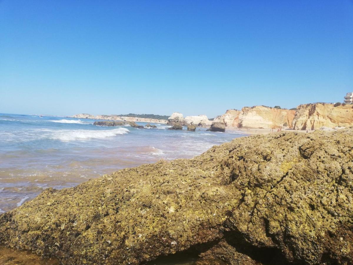 Rocha Praia Mar Beach Front Line Bay Portimão Exteriör bild